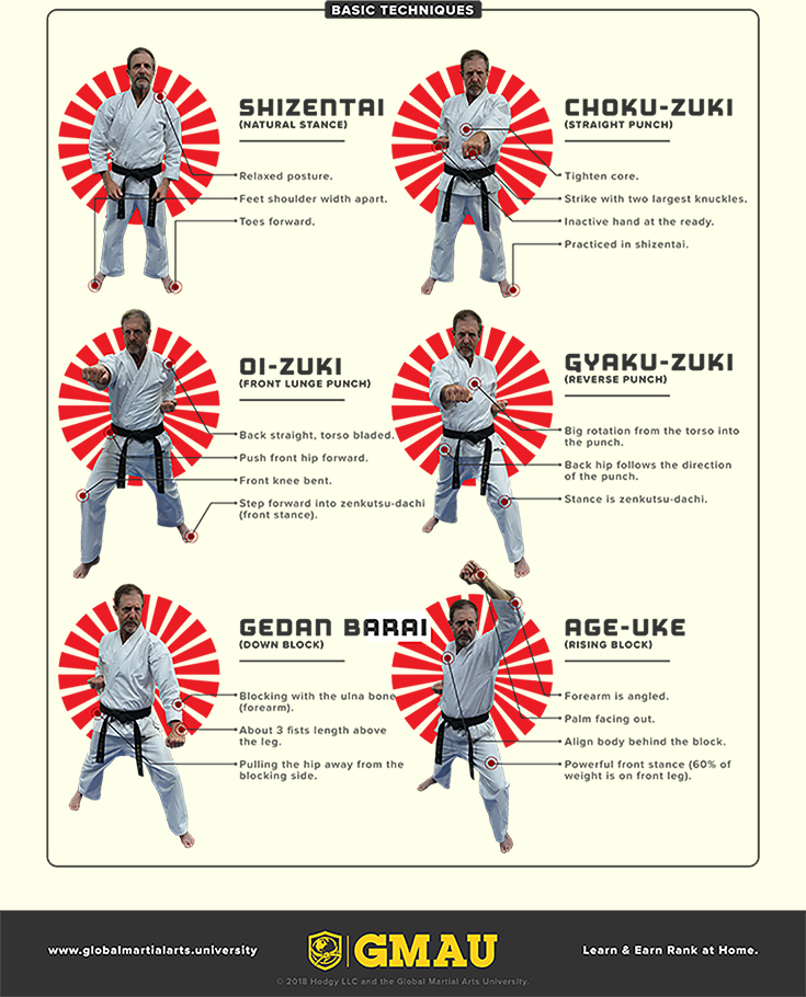 Shotokan Infographic 2